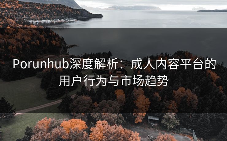 Porunhub深度解析：成人内容平台的用户行为与市场趋势