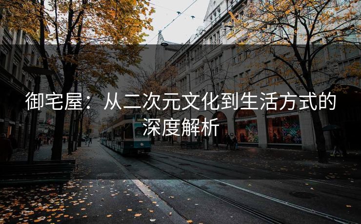御宅屋：从二次元文化到生活方式的深度解析  第1张