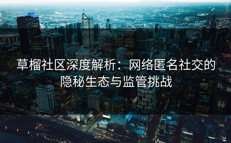 草榴社区深度解析：网络匿名社交的隐秘生态与监管挑战  第1张