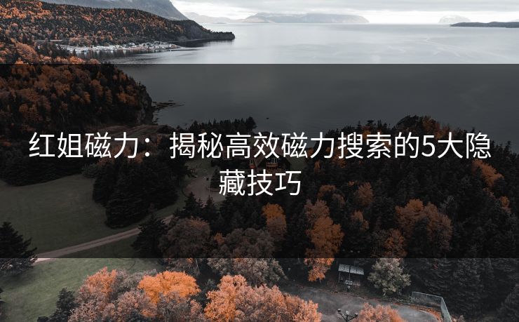 红姐磁力：揭秘高效磁力搜索的5大隐藏技巧  第1张