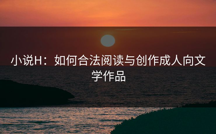 小说H：如何合法阅读与创作成人向文学作品