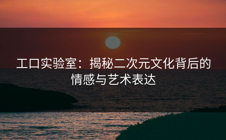 工口实验室：揭秘二次元文化背后的情感与艺术表达  第1张