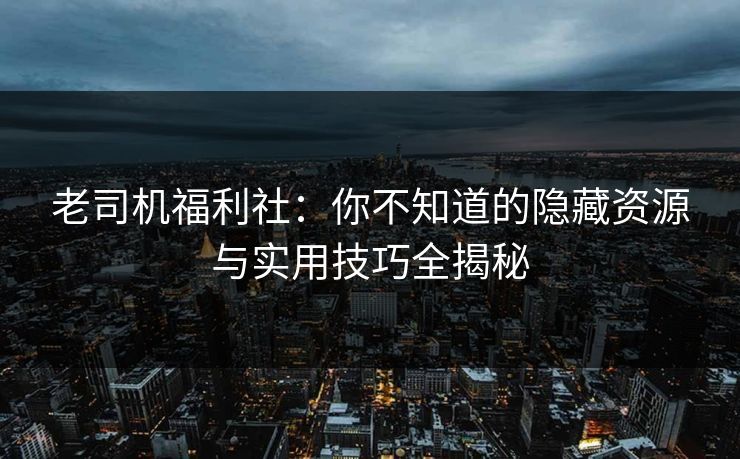 老司机福利社：你不知道的隐藏资源与实用技巧全揭秘