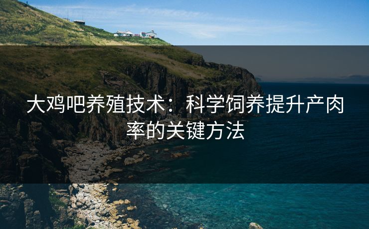 大鸡吧养殖技术：科学饲养提升产肉率的关键方法